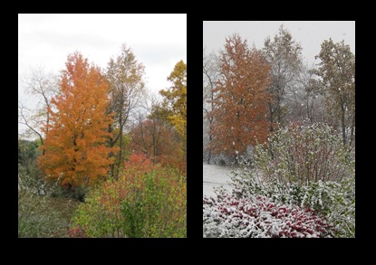 Before and during October snow
